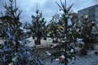 Advent 2010aa